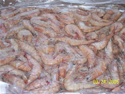 Brown Shrimp